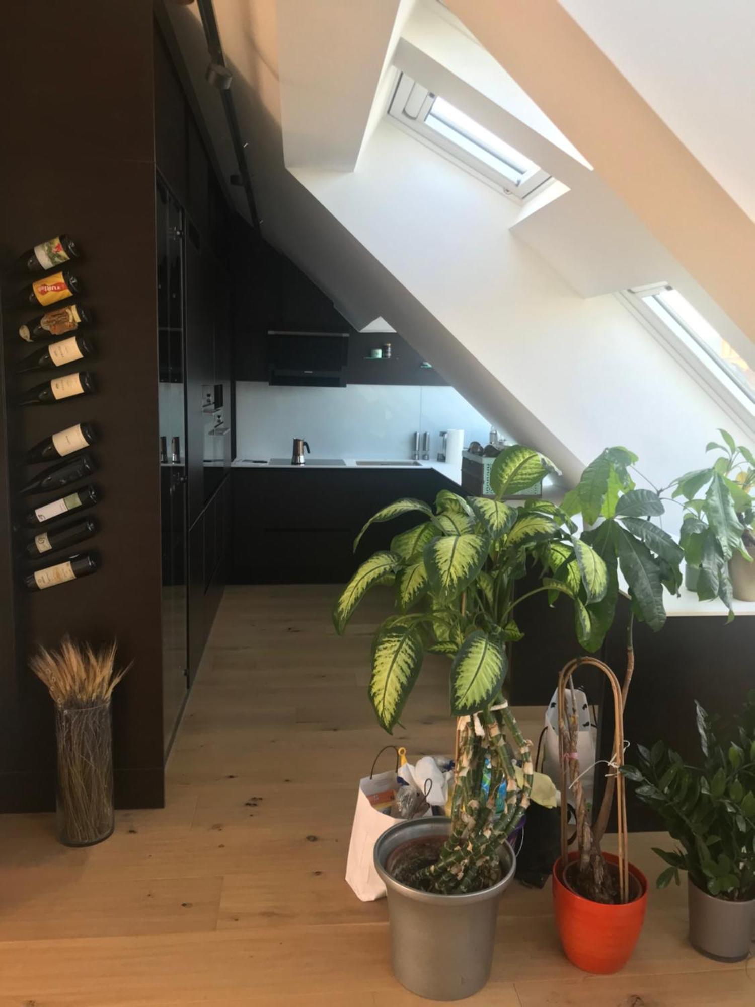 Grosszuegiges Dachterrassen-Appartment Mit Klimaanlage Und Wunderbarem Ausblick Vídeň Exteriér fotografie